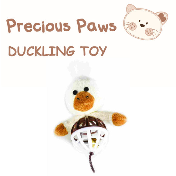 Duckling Kitten - Precious Paws