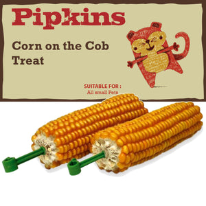 Corn on the Cob - Popcorn Treat