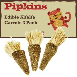 54009 - Edible Alfalfa Carrots - 3pk