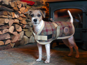 PF Dog Coat - Checker Pattern Quilted - 30cm