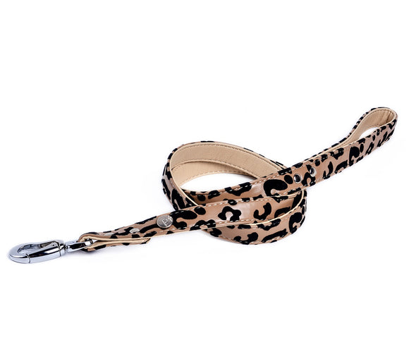 Lead Dog Leopard Print - LRG