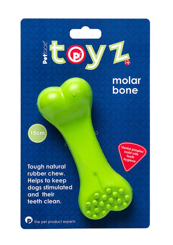 Molar Bone - 10cm