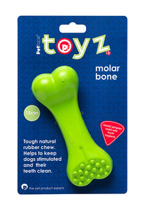 Molar Bone - 20cm